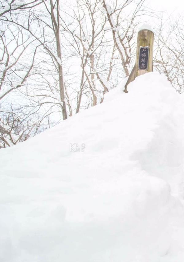 Whoseman-10-犬系男孩-安東尼-北海道特別企劃